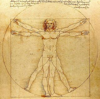 Leonardo da Vinci / Domaine public américain / Wikimedia Commons